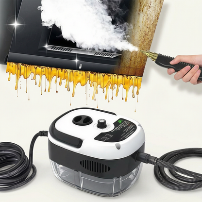 Thenexozen™ Steam Sanitizer