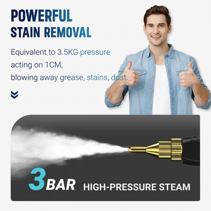 Thenexozen™ Steam Sanitizer