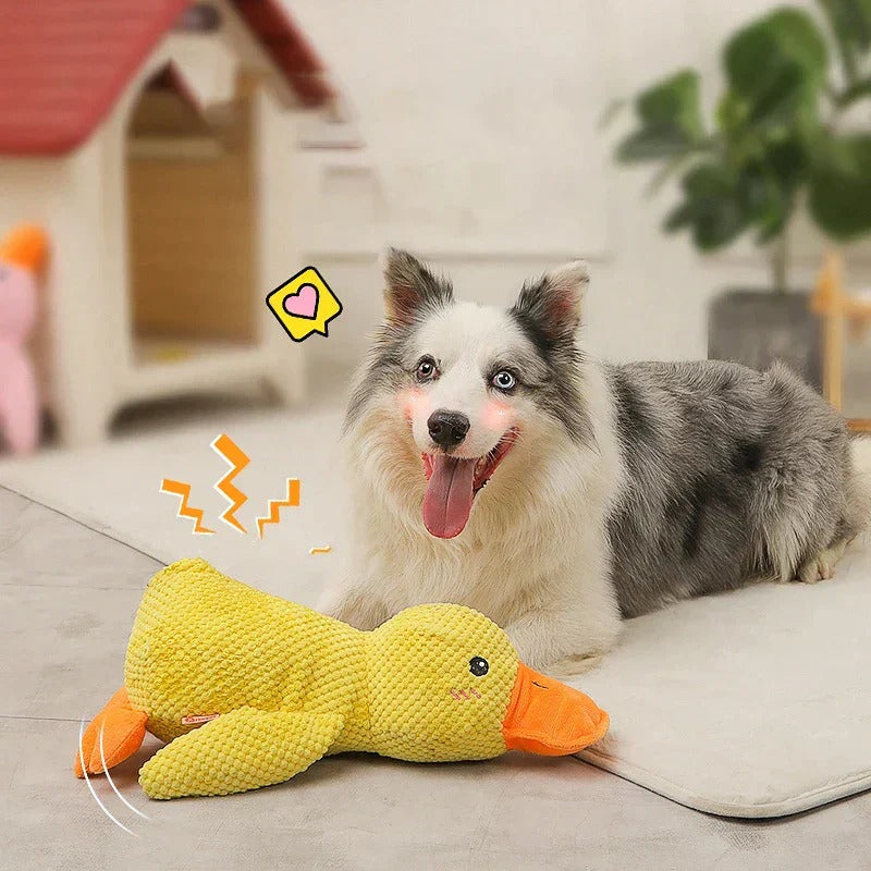 Calming Duck
